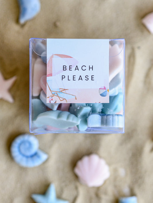 Beach Please Wax Melts (Small Box)